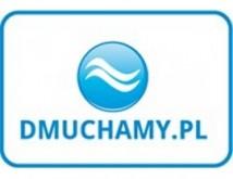 logo-dmuchamypl