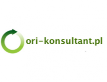 logo-orikonsultant